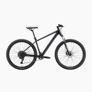 Hardtail