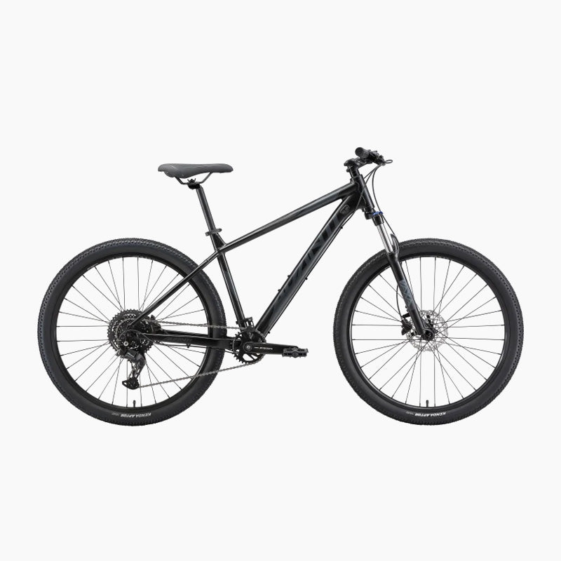 Hardtail