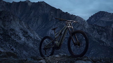 Specialized